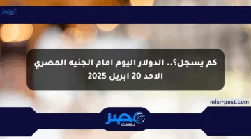 كم يسجل؟.. الدولار اليوم أمام الجنيه المصري الأحد 20 أبريل 2025